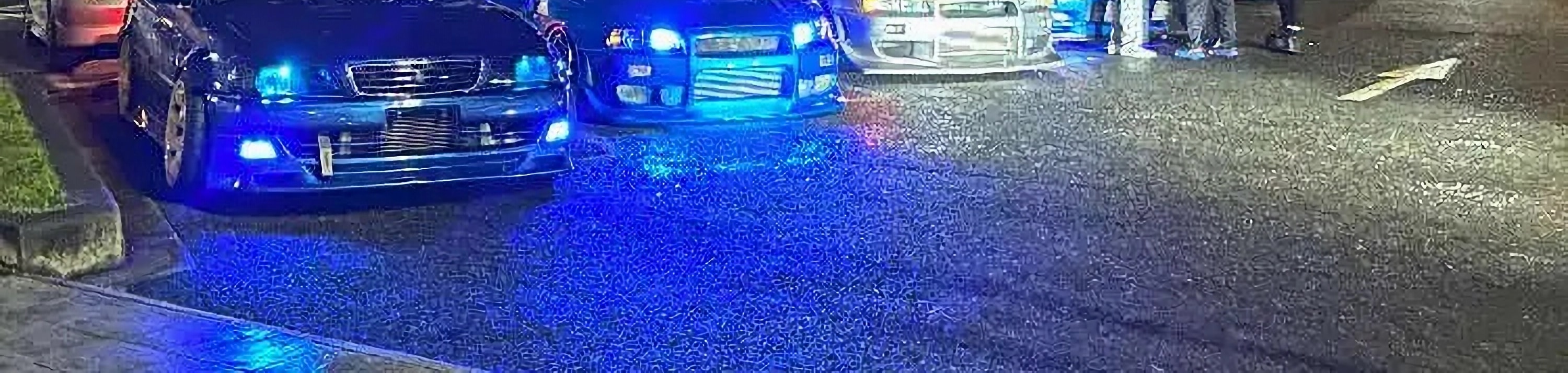 大黑PA JDM車聚私人導覽行程