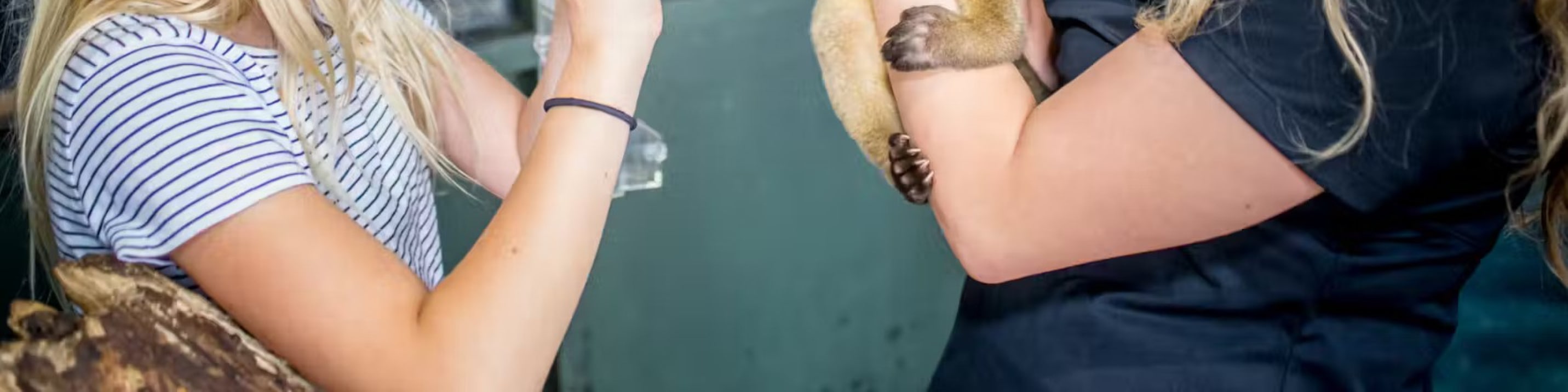 奧斯汀水族館門票