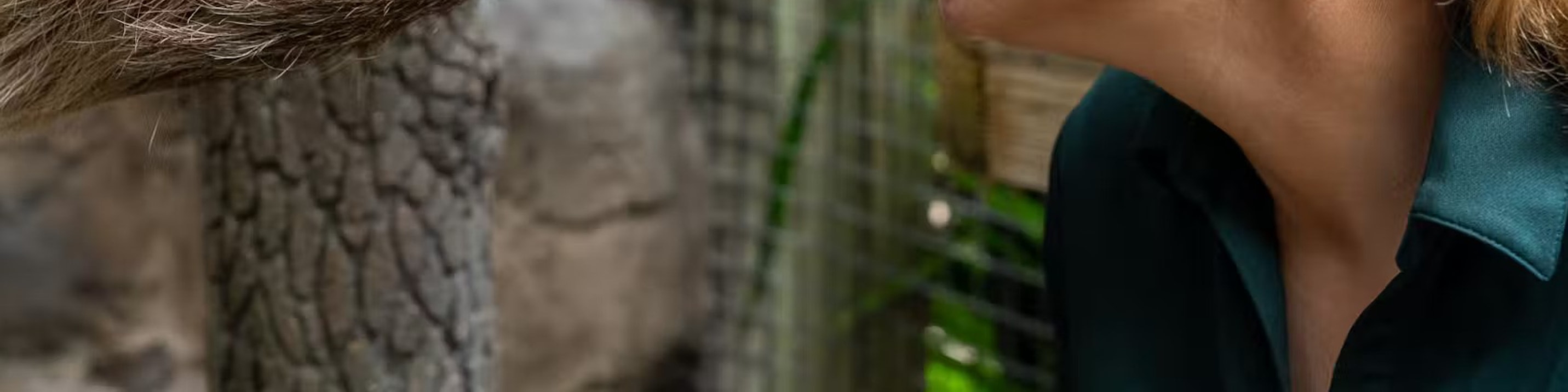 Observe the zookeeper gently caring for the zoo’s beloved two-toed sloth