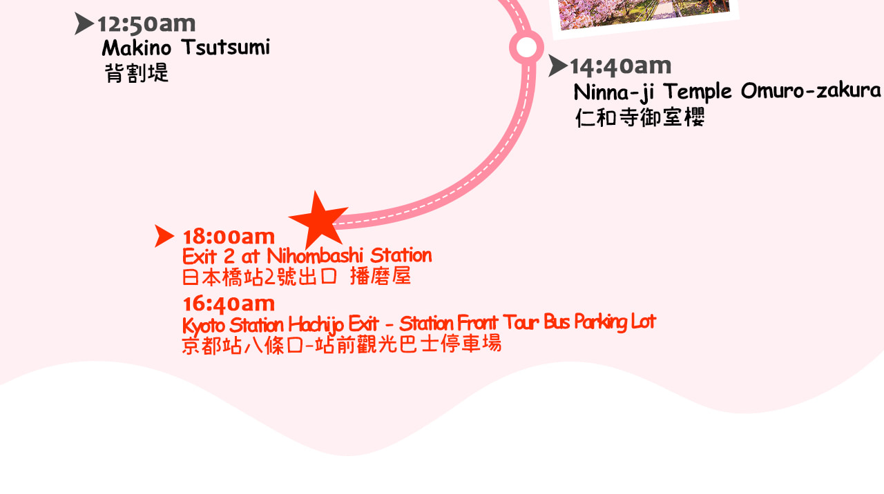 慢賞春櫻:從伏見河岸到背割堤櫻花隧道,最終走進仁和寺御室櫻,用一天把京都最溫柔的春天裝進相機裡🌸 慢賞春櫻:從伏見河岸到背割堤櫻花隧道,最終走進仁和寺御室櫻,用一天把京都最溫柔的春天裝進相機裡🌸