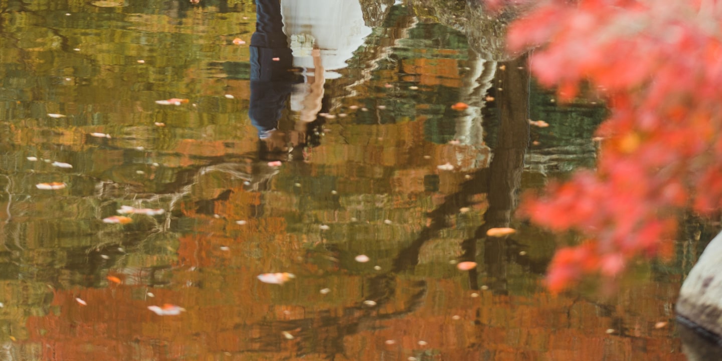 奈良公園 - 廣闊的公園,有自由漫步的鹿群,並可欣賞東大寺的景色,提供有趣且標誌性的畫面。 奈良公園 - 廣闊的公園,有自由漫步的鹿群,並可欣賞東大寺的景色,提供有趣且標誌性的畫面。
