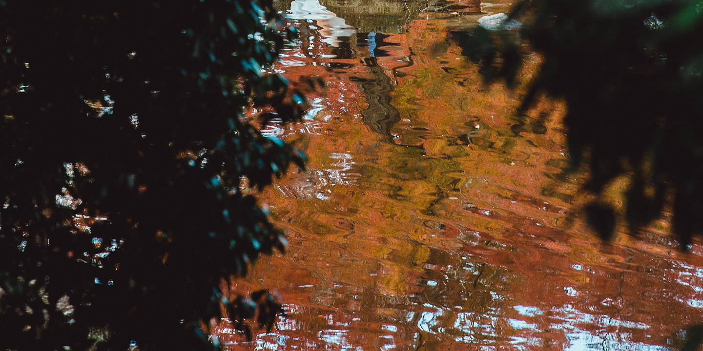 奈良公園 - 廣闊的公園,有自由漫步的鹿群,並可欣賞東大寺的景色,提供有趣且標誌性的畫面。 奈良公園 - 廣闊的公園,有自由漫步的鹿群,並可欣賞東大寺的景色,提供有趣且標誌性的畫面。