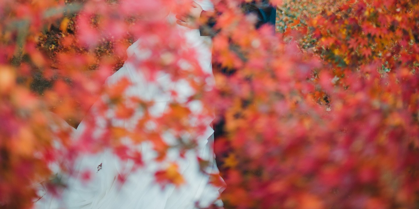 奈良公園 - 廣闊的公園,有自由漫步的鹿群,並可欣賞東大寺的景色,提供有趣且標誌性的畫面。 奈良公園 - 廣闊的公園,有自由漫步的鹿群,並可欣賞東大寺的景色,提供有趣且標誌性的畫面。