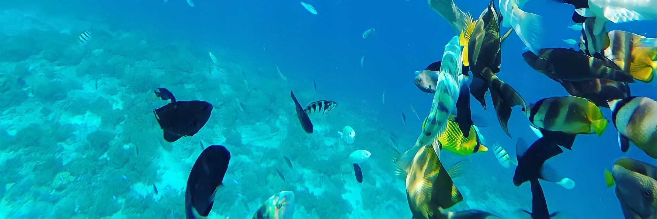 印尼龍目島Gili Trawangan＋Gili Meno＋Gili Air私人浮潛一日遊