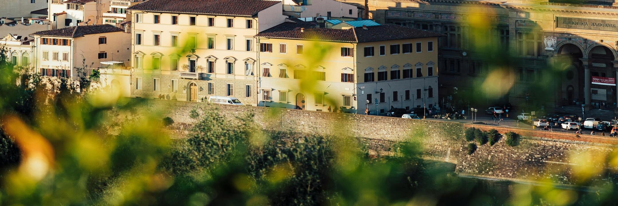 From Livorno: Florence Express Shuttle Service