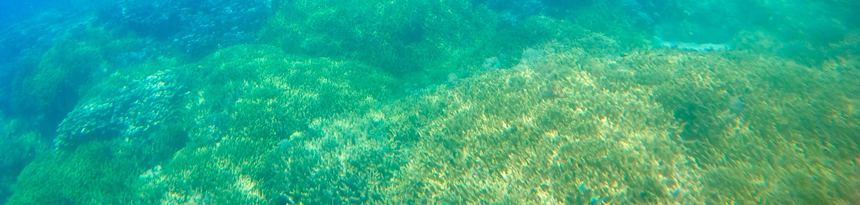 關島高級浮潛體驗