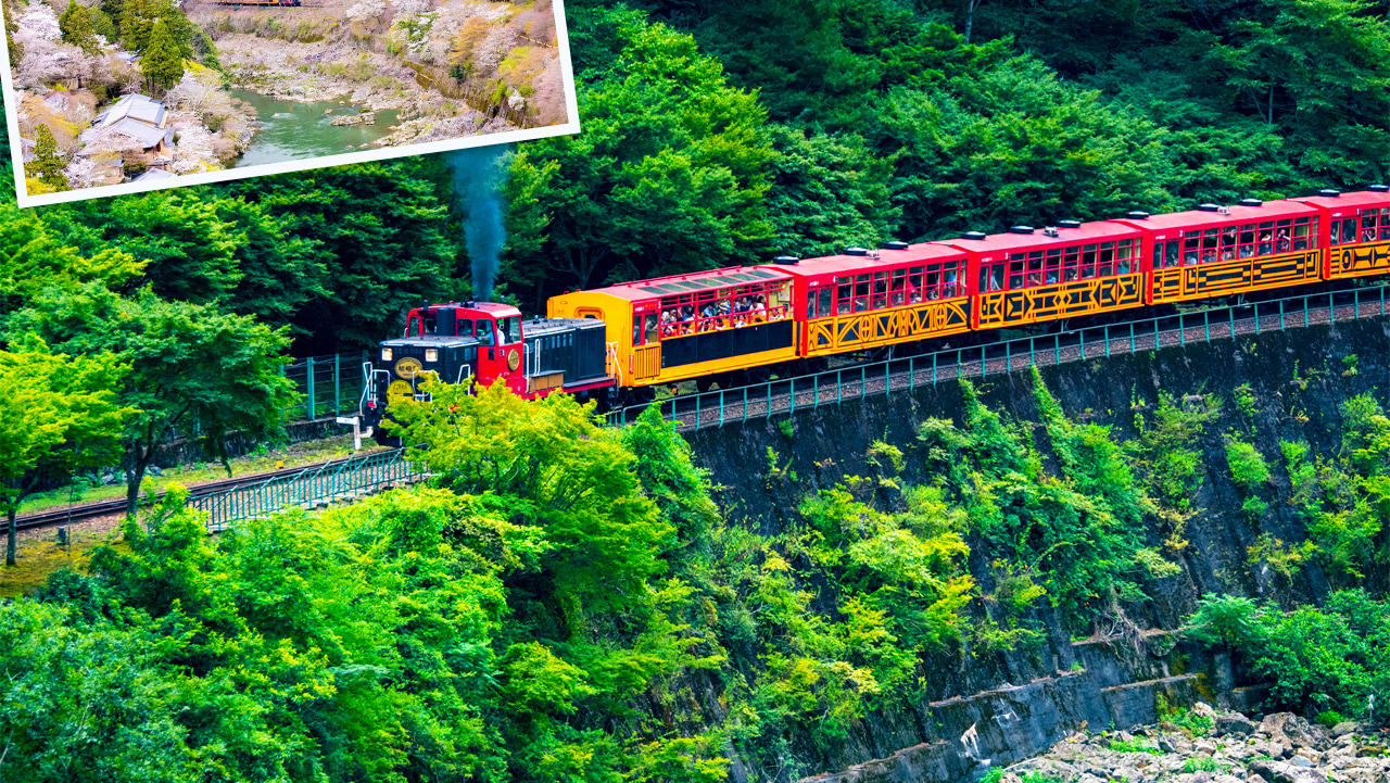 京都奈良嵐山一日遊 | 奈良公園喂小鹿&伏見稻荷千本鳥居&嵐山小火車&竹林小徑 |京都或大阪下車