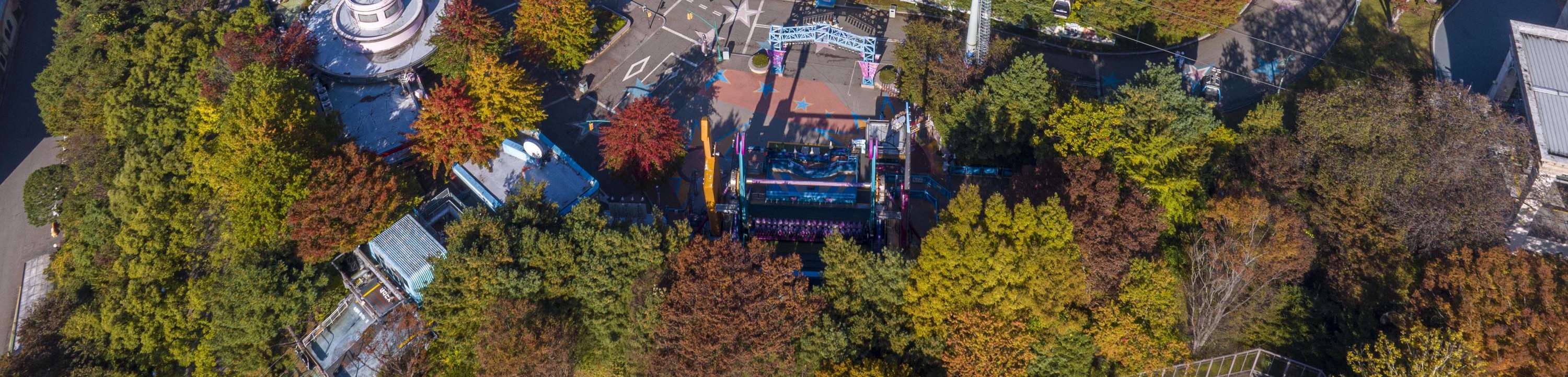 Everland & Lotte World Multi-day Adventure & City Highlights Tour
