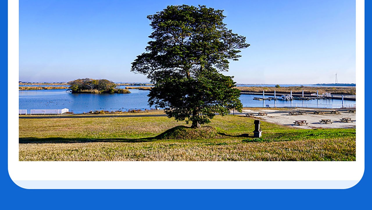 Unwind at Mizu no Sato Sawara, a peaceful riverside spot.