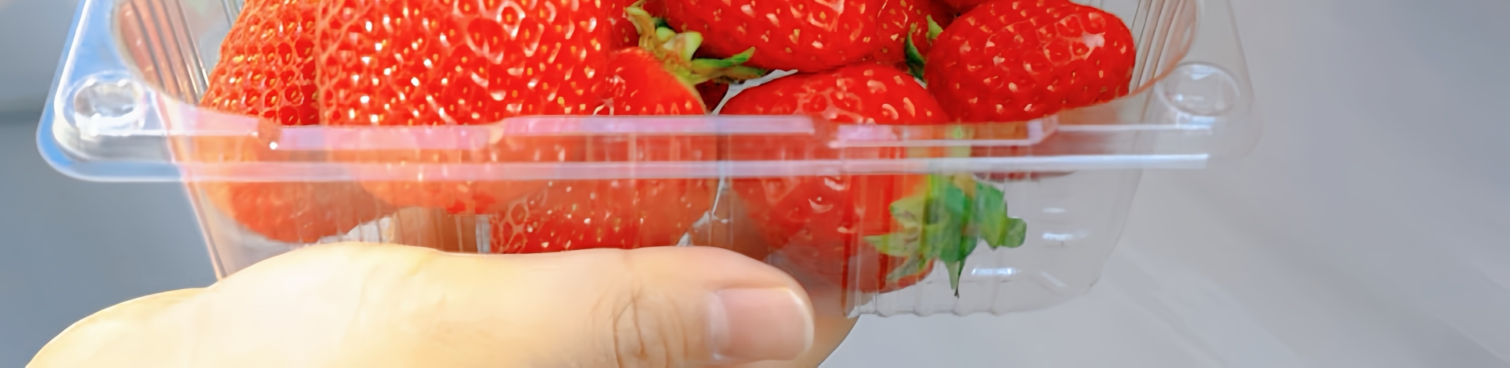 沉浸在草莓的香甜氣息中。