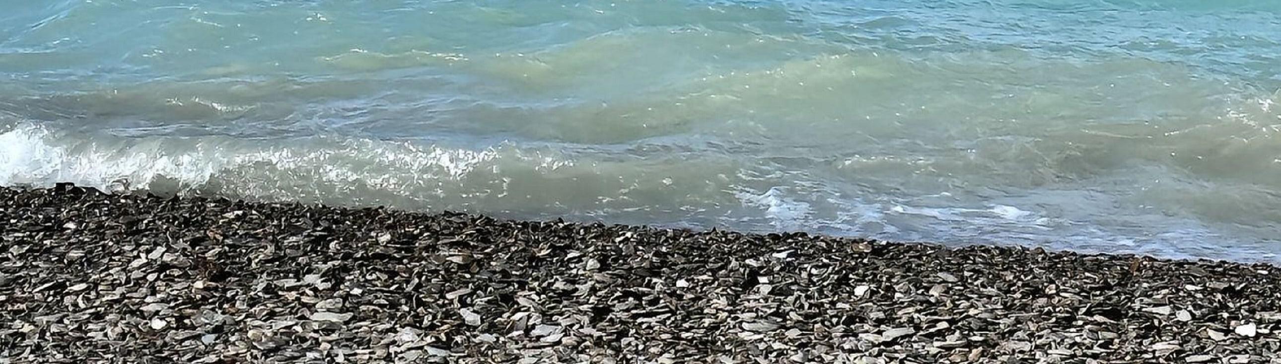 岸邊碎石灘被浪濤輕拍，每一幀都是不加修飾的原生美