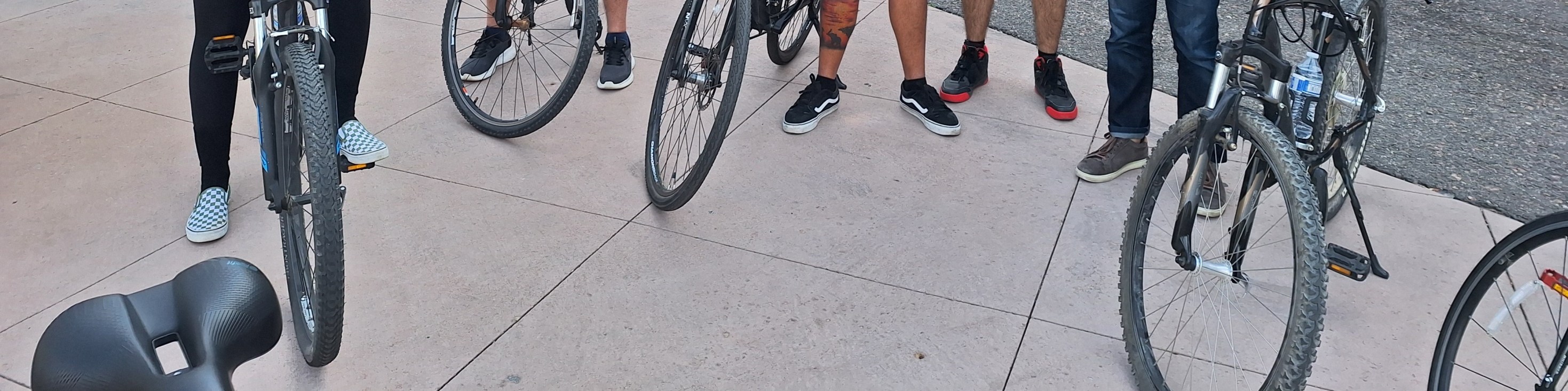Discover Denver on 3 hour bike or Ebike Tour