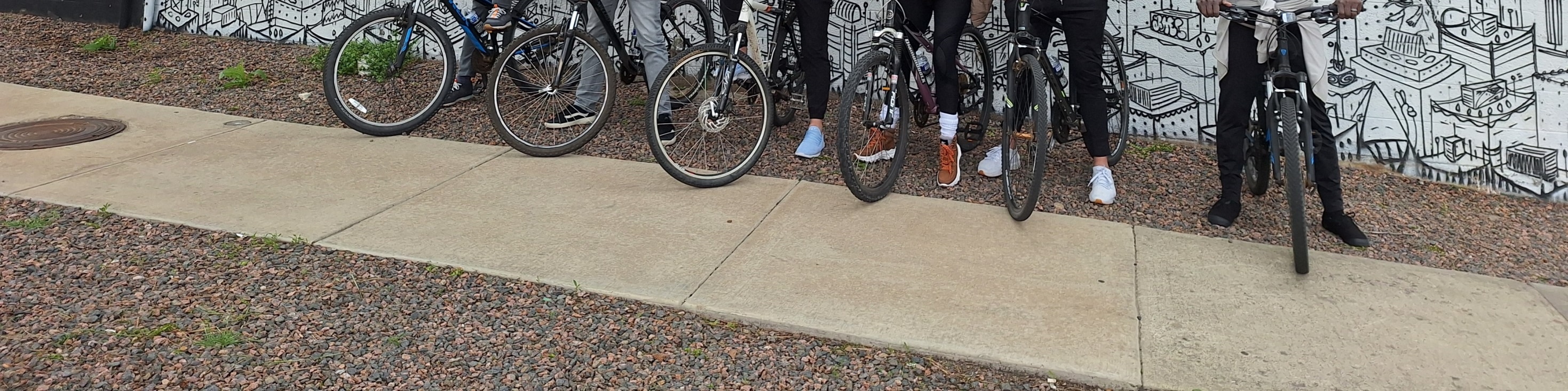 Discover Denver on 3 hour bike or Ebike Tour