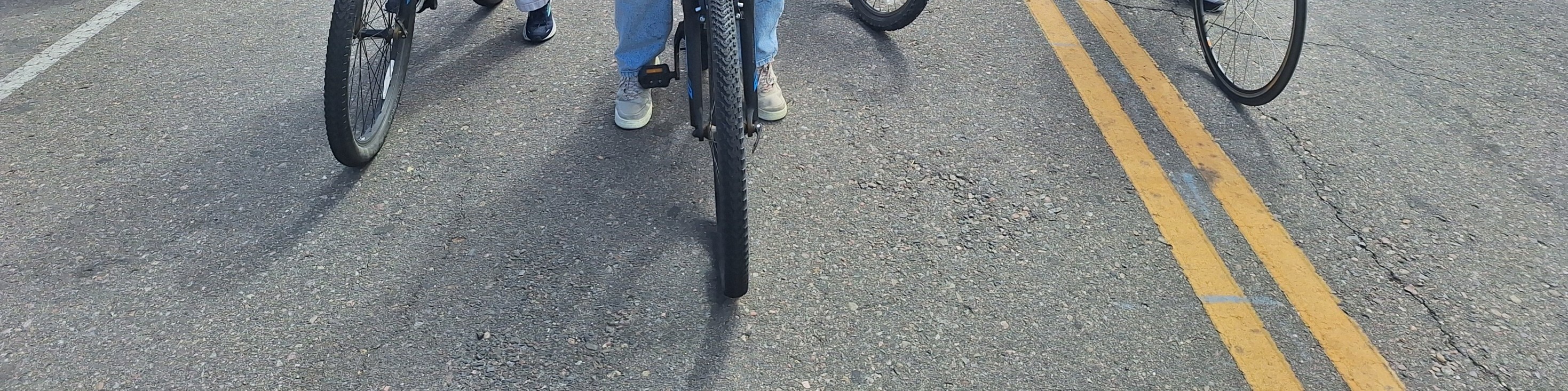Discover Denver on 3 hour bike or Ebike Tour