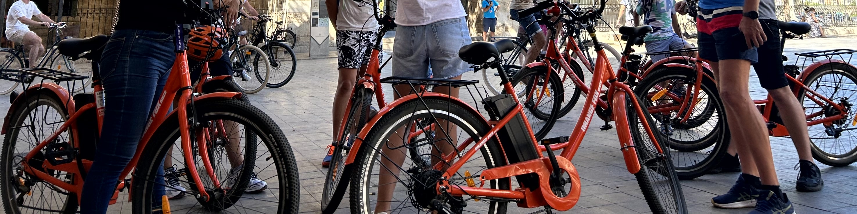瓦倫西亞：城市觀光騎行導覽遊（Valencia: Guided City Sightseeing Tour by Bike or E-Bike）