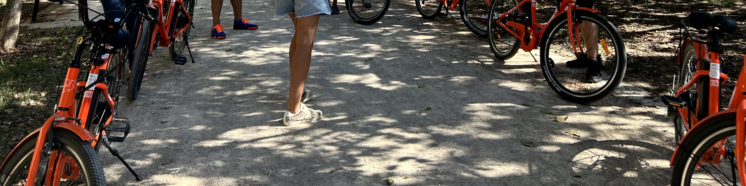 瓦倫西亞：城市觀光騎行導覽遊（Valencia: Guided City Sightseeing Tour by Bike or E-Bike）