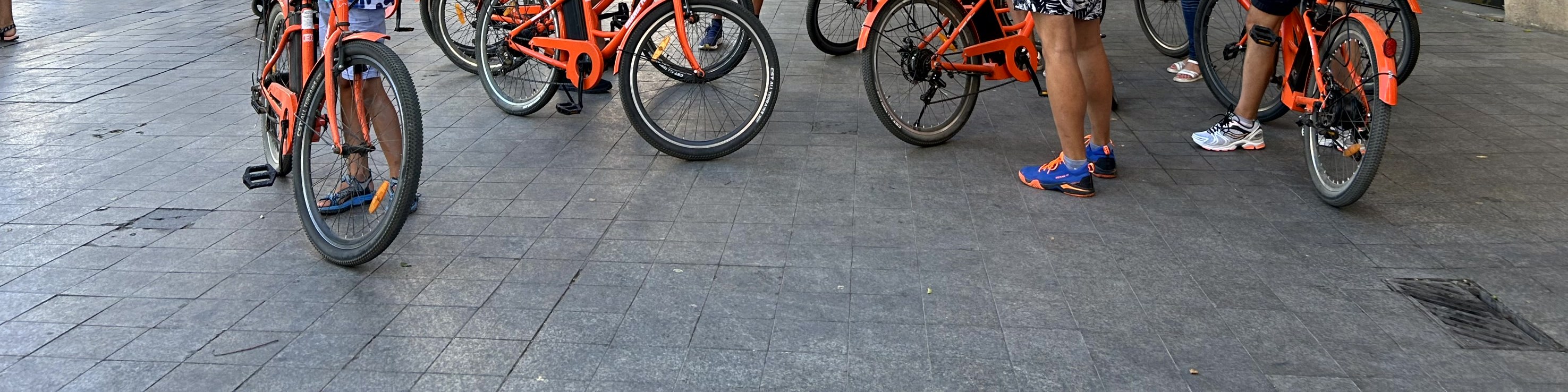 瓦倫西亞：城市觀光騎行導覽遊（Valencia: Guided City Sightseeing Tour by Bike or E-Bike）