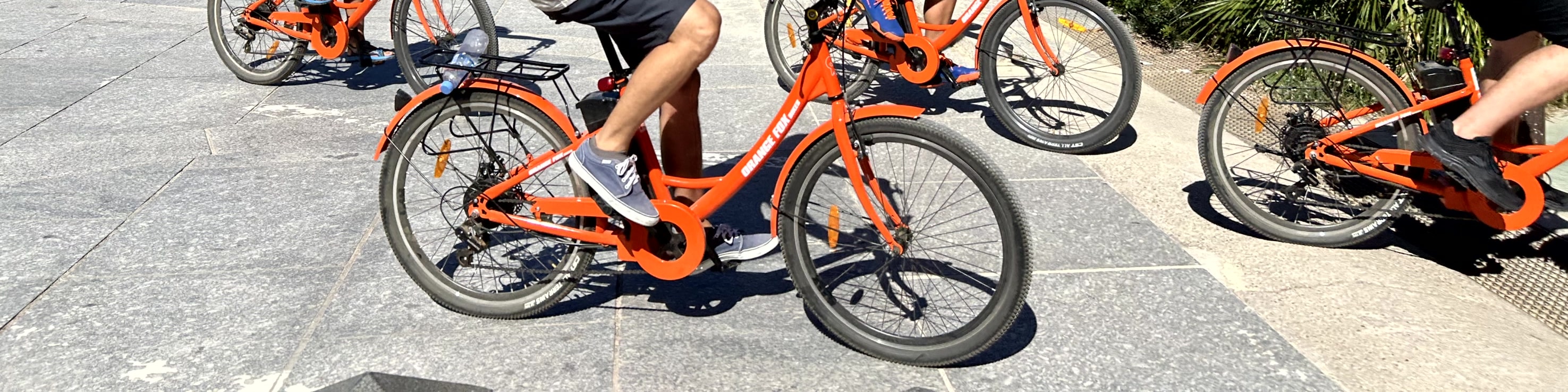 瓦倫西亞：城市觀光騎行導覽遊（Valencia: Guided City Sightseeing Tour by Bike or E-Bike）