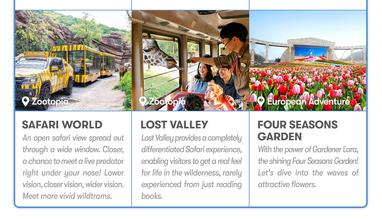 Everland Day Tour: Priority Entry (Till 31/5) + Optional Meal Coupon
