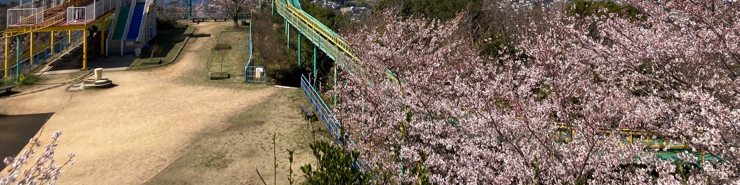 盡享明石海峽大橋的壯麗景色,春天還能欣賞到櫻花盛開的美景。 盡享明石海峽大橋的壯麗景色,春天還能欣賞到櫻花盛開的美景。