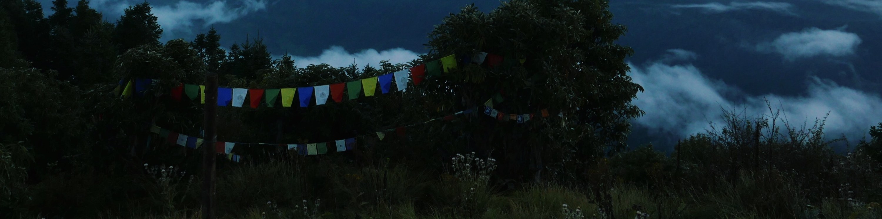 博卡拉：3天戈雷帕尼 - 蓬山 - 甘德魯克徒步之旅（含導遊）