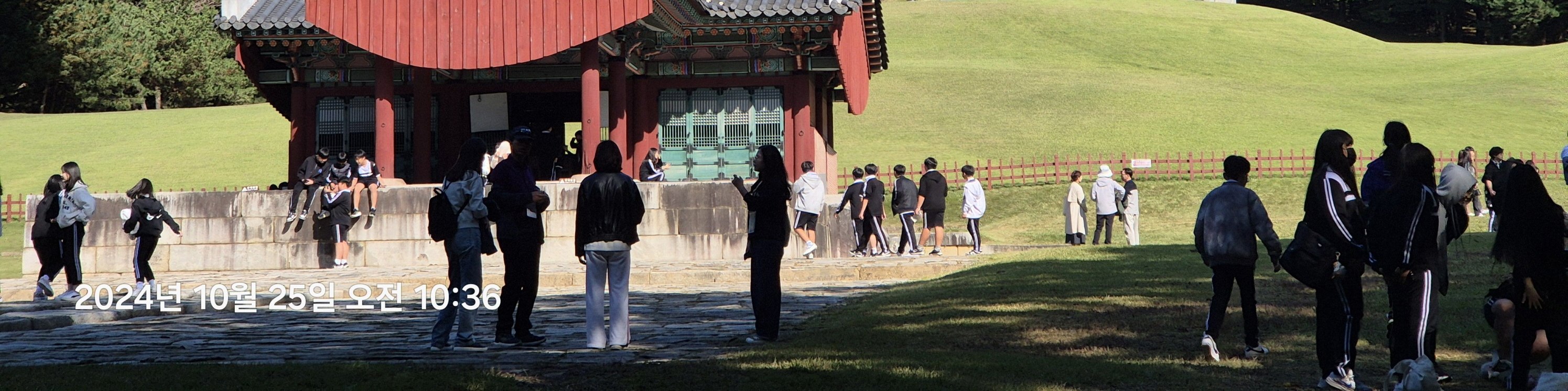 Suwon Hwaseong fortress and Starfield library tour 