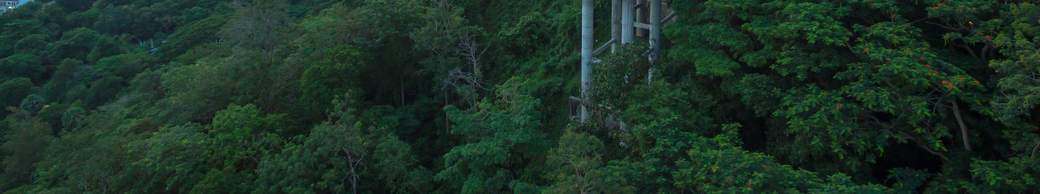 蘭山