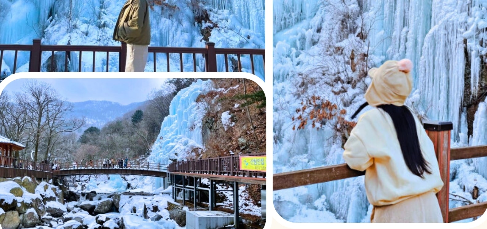 三岳山纜車 / 晨靜樹木園 燈光節 / 採摘草莓 / Eobi冰谷 / 雪橇 一日遊