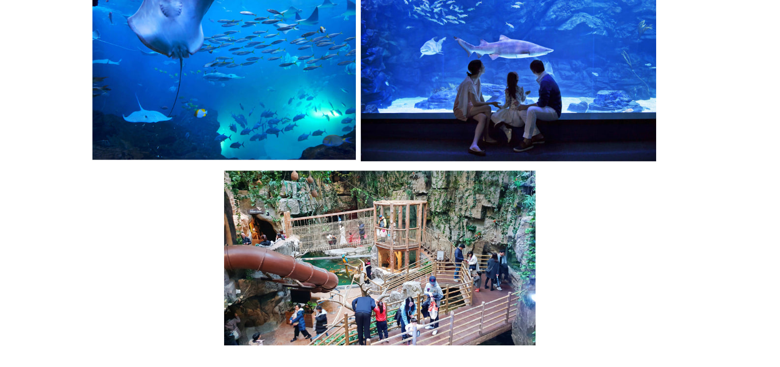 Incheon Day Tour from Seoul: Ganghwado Luge, Railbike, Seagull Ferry