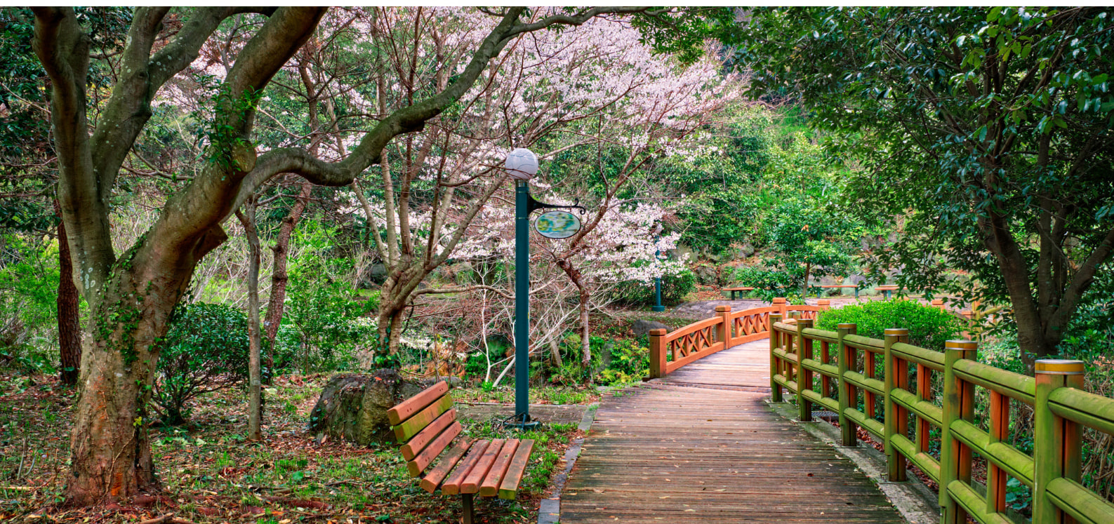 濟州人氣景點包車一日遊