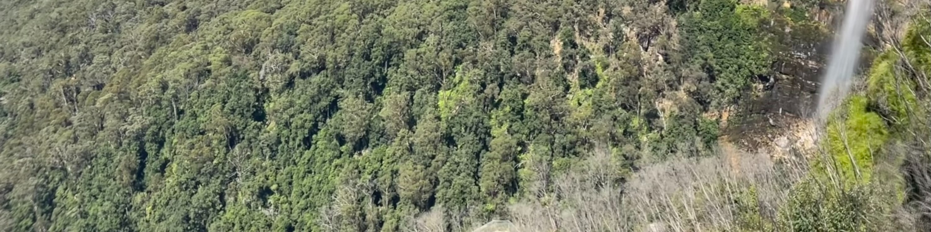 藍山國家公園徒步探索之旅
