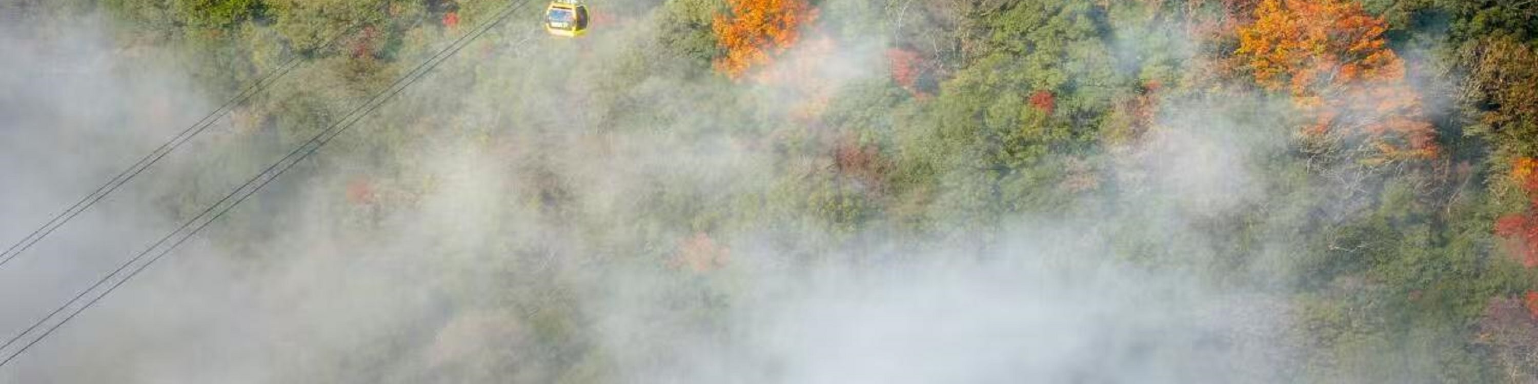 貴州梵淨山高端純玩一日遊（貴陽往返+含午餐+金頂+蘑菇石+摩崖石刻+靈宮臺）