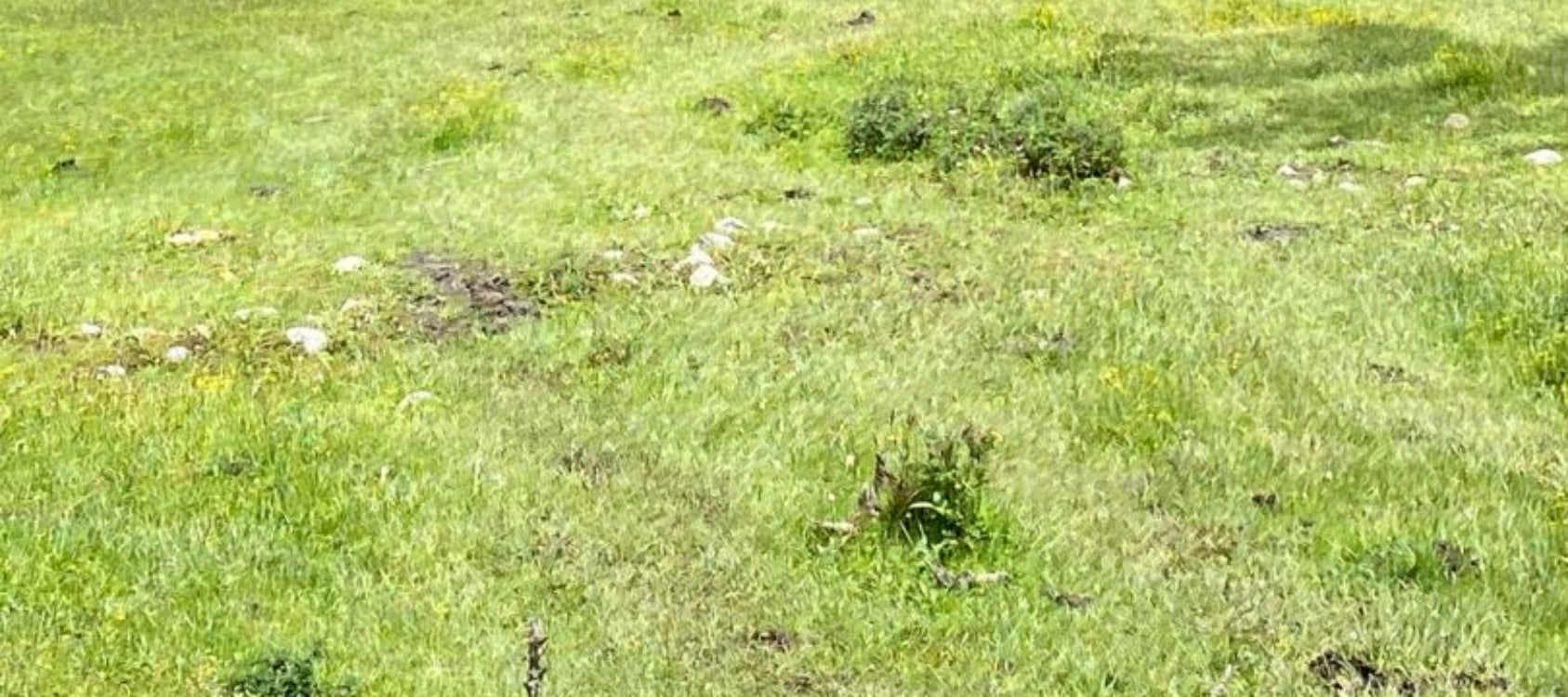 川西四姑娘山長穿畢徒步5日遊（長坪溝+畢棚溝+領隊配比1:8+全套露營裝備+輕裝徒步）