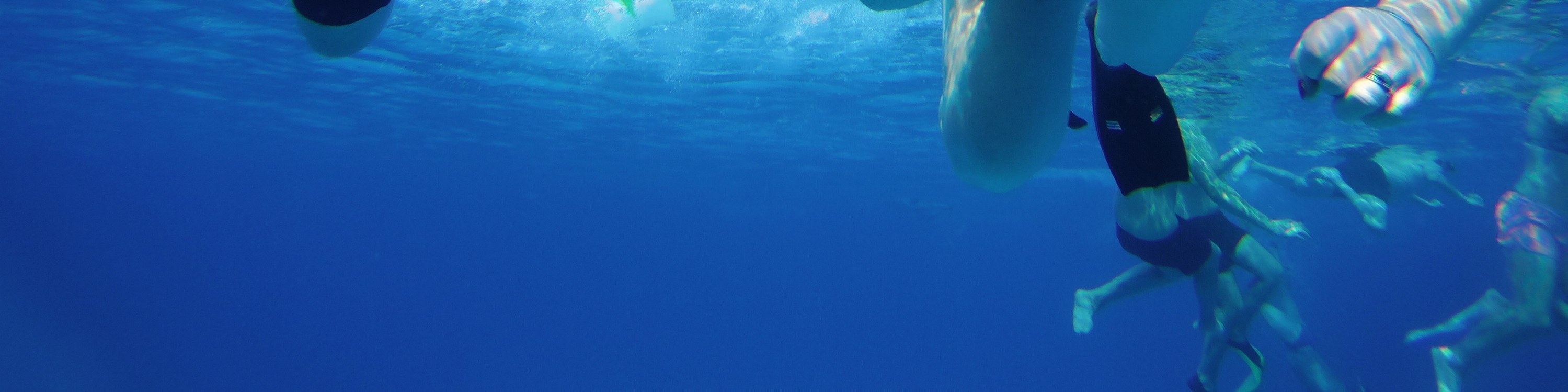 奧蘭治灣浮潛之旅（Orange Bay Island Snorkeling Trip）含水上運動 - 赫爾格達