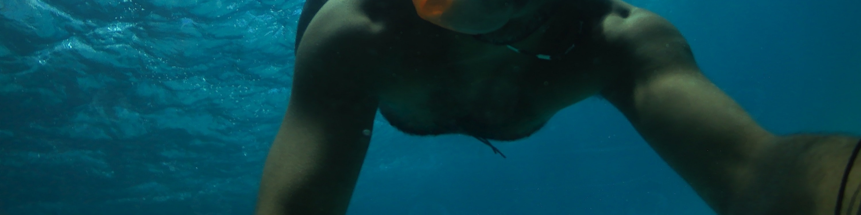 奧蘭治灣浮潛之旅（Orange Bay Island Snorkeling Trip）含水上運動 - 赫爾格達