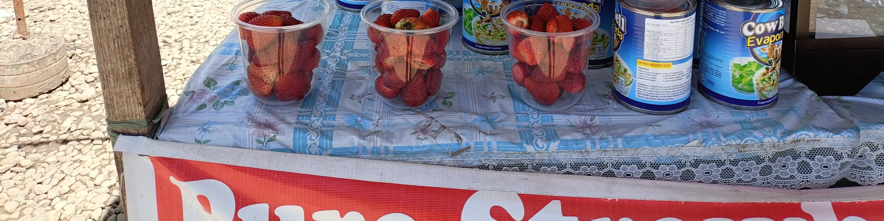 strawberry farm in baguio