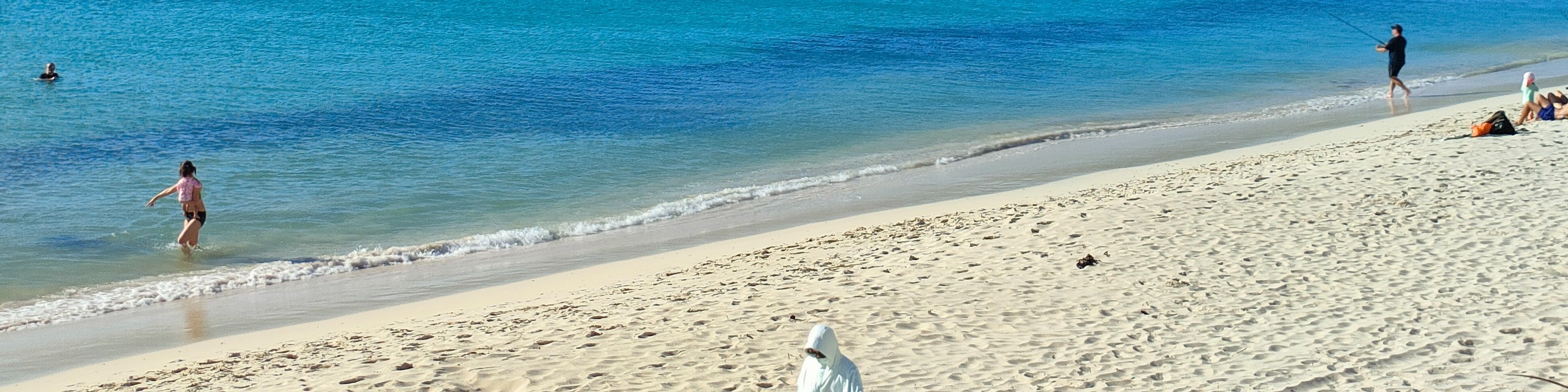 盡情沉浸在碧綠的哈梅林海灘 盡情沉浸在碧綠的哈梅林海灘