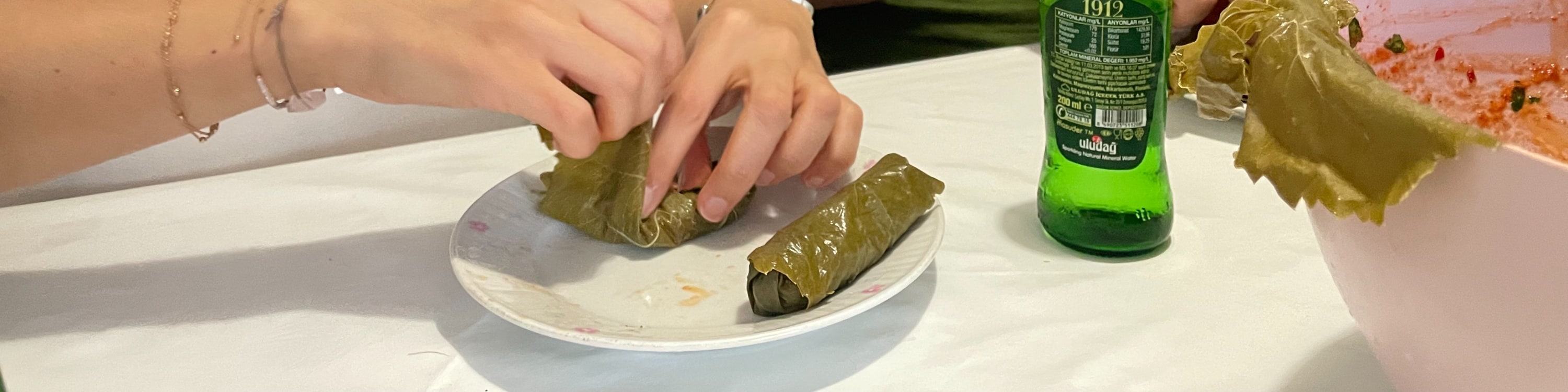 在當地家庭學習傳統土耳其卓瑪烹飪課