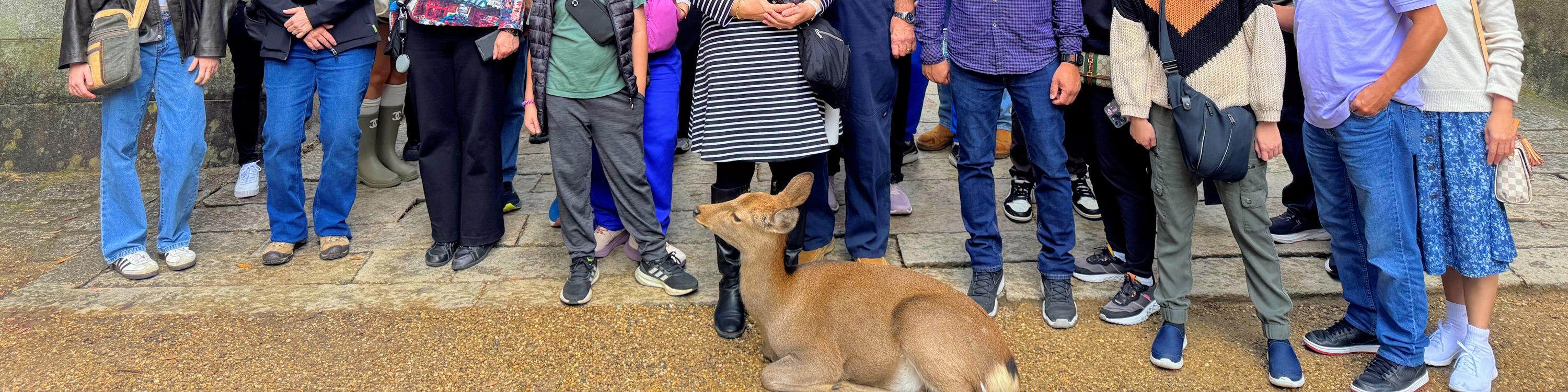 Nara & Kyoto 1-Day Bus Tour