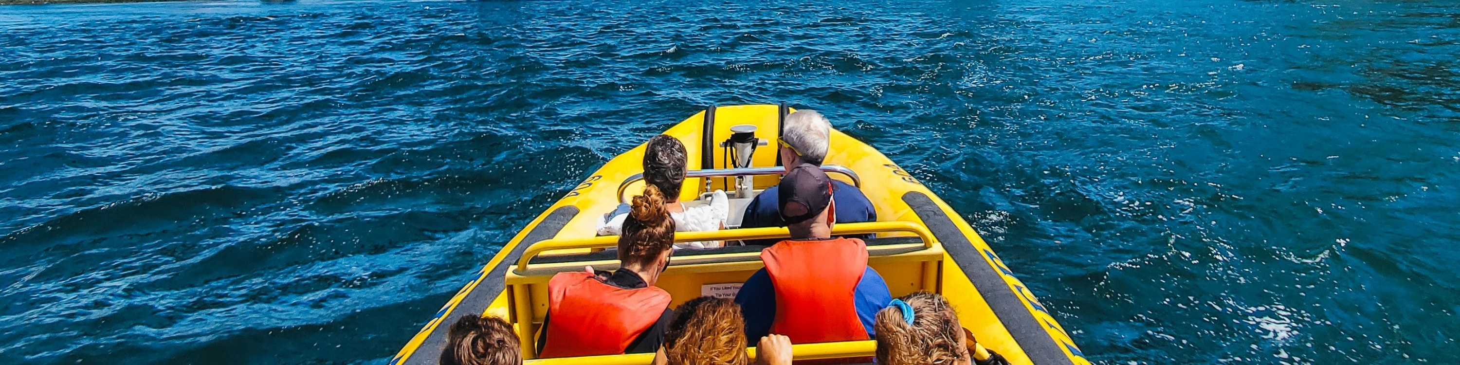 Soak in the views as you cruise past iconic Stanley Park and Lions Gate Bridge