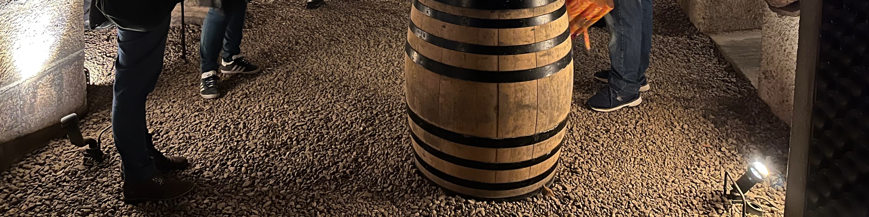 Burgundy Grands Crus Route Day tour & tasting including 14 wines