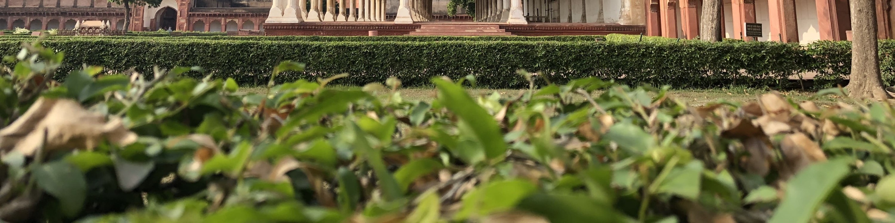 泰姬瑪哈陵 (Taj Mahal) 與阿格拉 (Agra) 一日遊（德里 (Delhi) 出發，多種選擇）