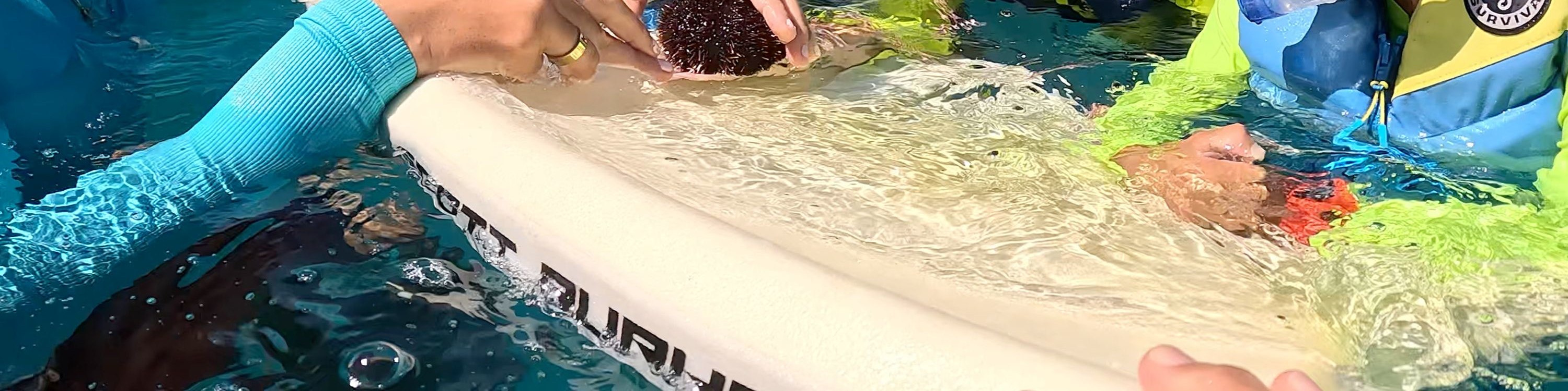 一群孩子在平靜清澈的海洋中，盡情享受他們的第一次浮潛體驗