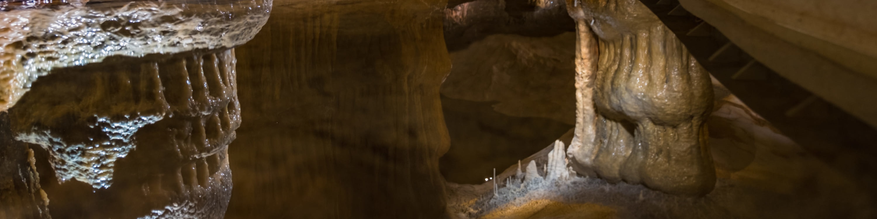 Cosquer Cave Ticket in Marseille