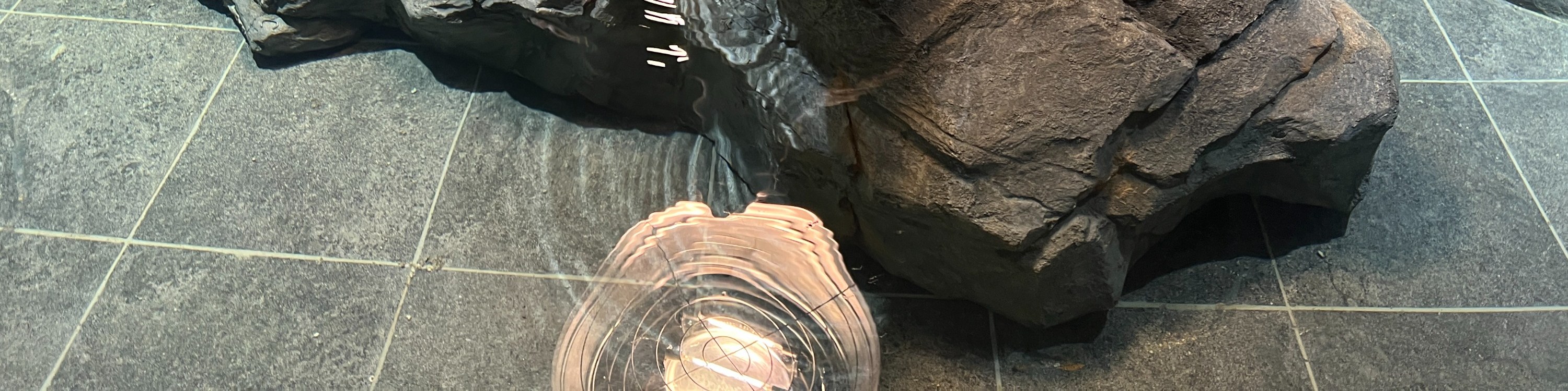 海棠鳥園+神秘動物園+水族咖啡廳往返接駁車