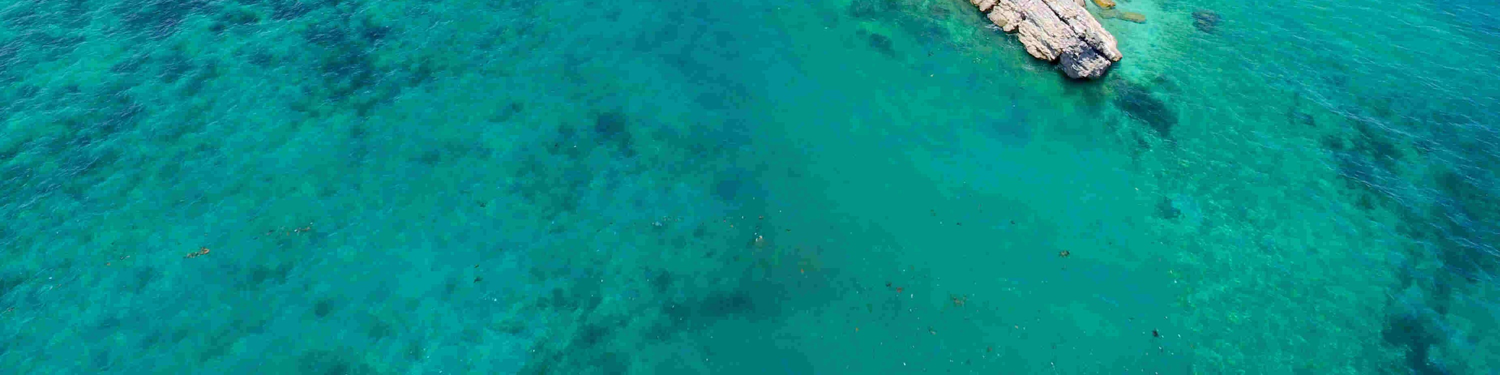 巨人島跳島遊船之旅