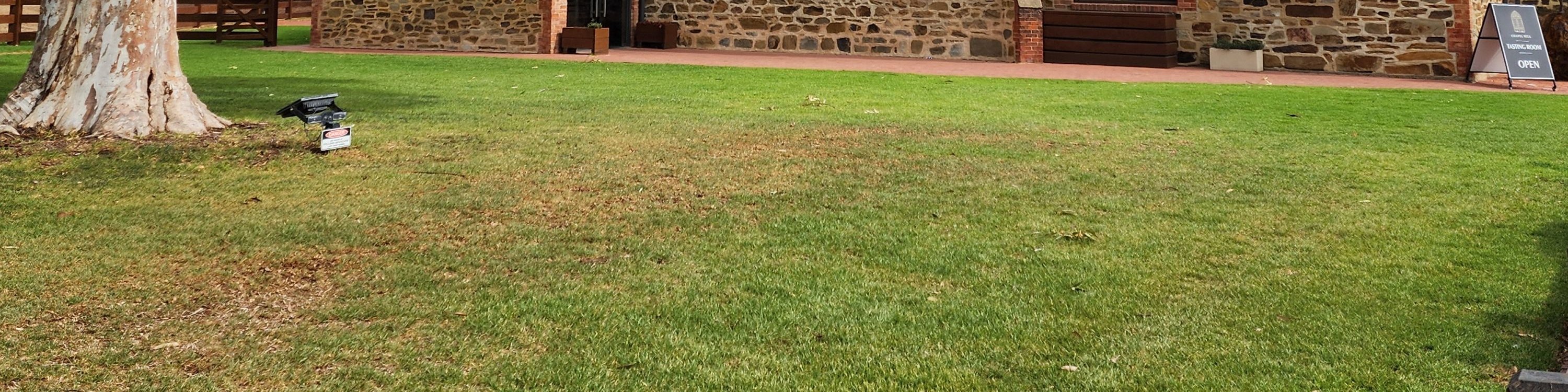 McLaren Vale All-Inclusive Wine Adventure: Tastings & Lunch
