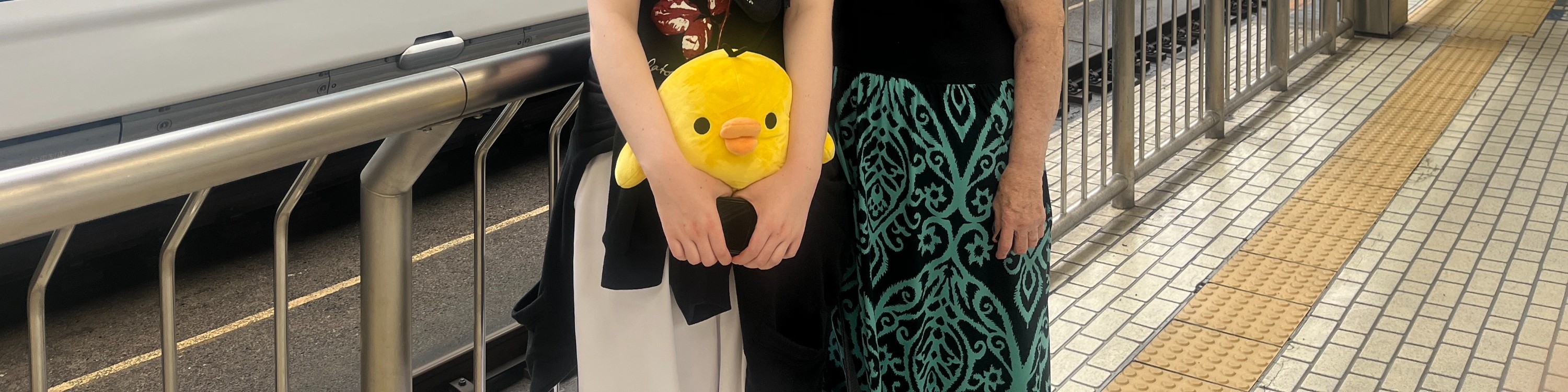 小田原城 & 新幹線一日私家遊
