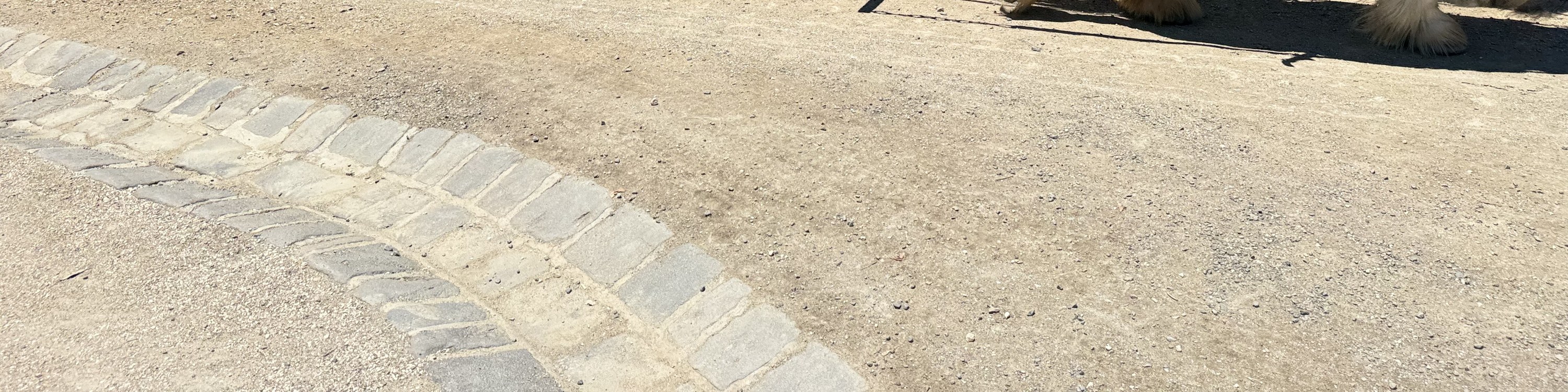 從墨爾本出發前往巴拉瑞特疏芬山一日遊