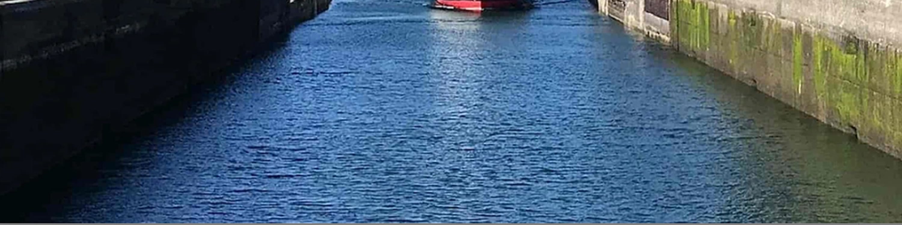 搭乘遊船穿梭於西雅圖 (Seattle) 著名的巴拉德水閘 (Ballard Locks)，盡情飽覽令人屏息的迷人海濱風光